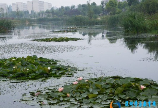 �人������ѧ�������